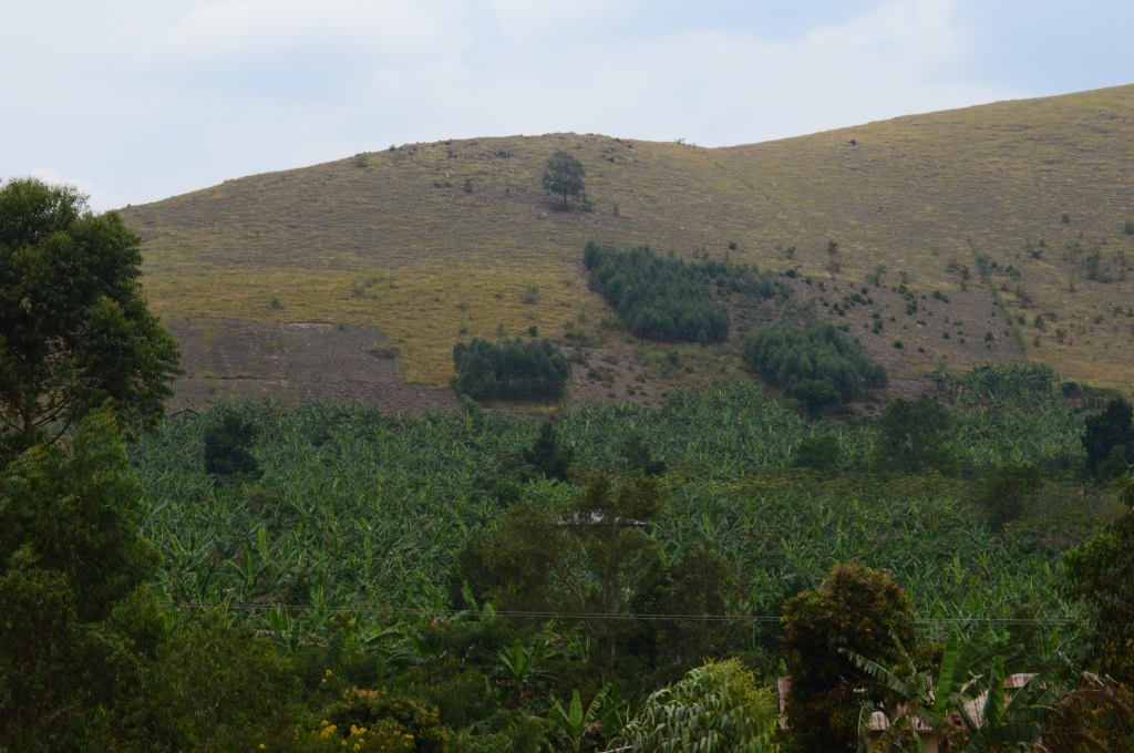 Part of the landscape in Uganda